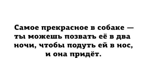 Собаки это прекрасно - Собака, Прекрасное, Подуть, Призыв