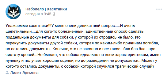 Наглость разведенцев - Хаски, Заводчики, Недобросовестный заводчик, Наглость, Мошенники, Мошенничество, Собака