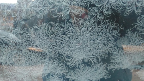 Frost draws - My, freezing, Painting on glass, Winter, beauty, Art, Incredible, Longpost