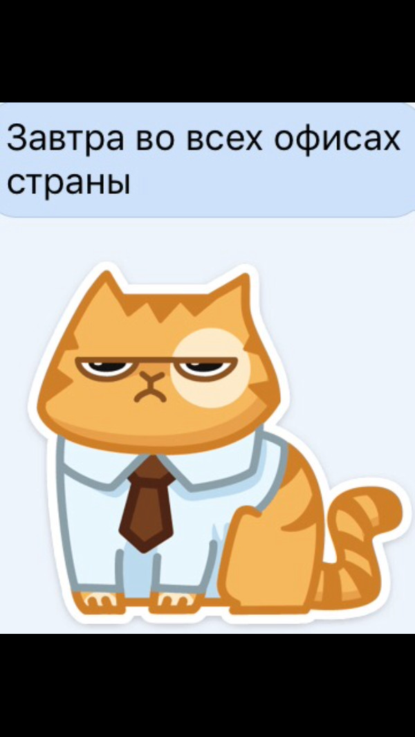 All positive at the beginning of the first working week friends!)) - Work, cat, Good luck, Mood