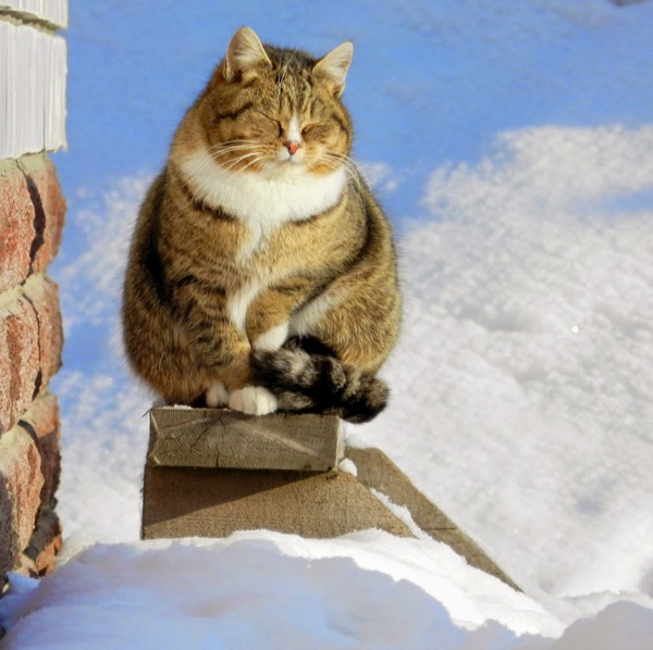 ���������� �������� �� ������!