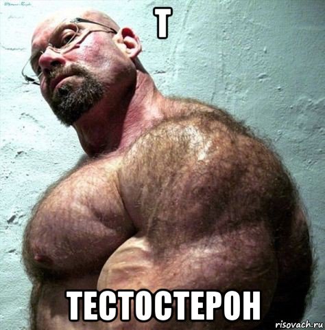 The hormone testosterone - Testosterone, Hormones, For subscribers, Longpost