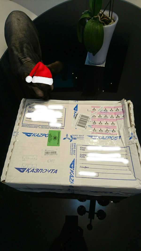 New Year's gift from Ayaz-Ata!!! - My, Gift exchange, New Year's gift exchange, New Year, Longpost, Germany, Kazakhstan, Secret Santa