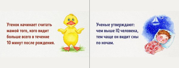 самый тупой день в мире. Смотреть фото самый тупой день в мире. Смотреть картинку самый тупой день в мире. Картинка про самый тупой день в мире. Фото самый тупой день в мире
