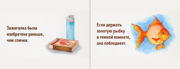 самый тупой день в мире. Смотреть фото самый тупой день в мире. Смотреть картинку самый тупой день в мире. Картинка про самый тупой день в мире. Фото самый тупой день в мире