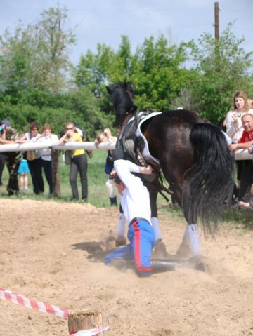 The plan is not always followed - Window dressing, Horses, Cossacks, Horses, Show, My, Organization, Longpost, Dzhigitovka, Cossacks