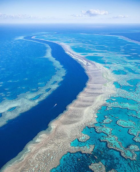 Great Barrier Reef - Nature, beauty, Photo, Incredible