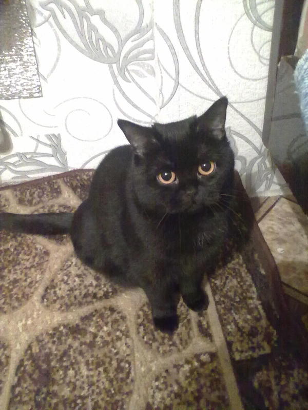 ����� ����������� � ���������� ������� ������ ����� :P