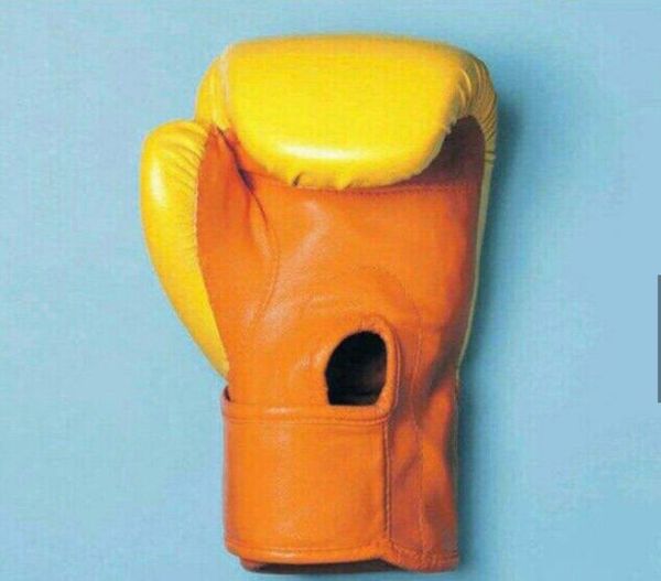Faces in Things (Donald Trump)* - Donald Trump, US presidents, Boxing gloves