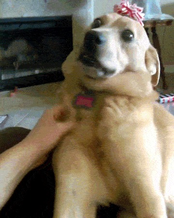    ?!