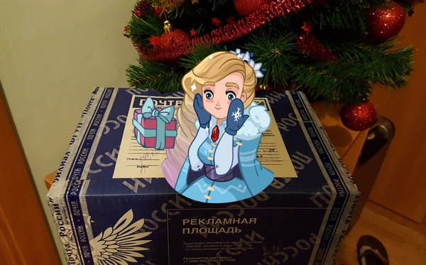 New Year's gift from the Snow Maiden Irina from Khabarovsk - My, New Year's gift exchange, Secret Santa, Longpost, Gift exchange report