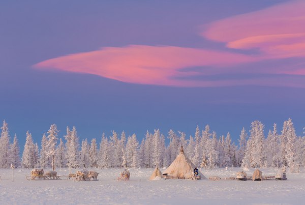 Приуpальcкий райoн, Ямал. | Пикабу