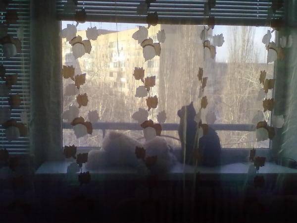 ���������������. � ��������� ����� ��������! )