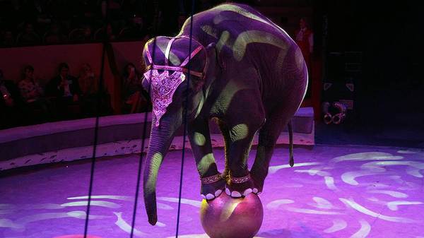   , Cirque Du Soleil, 