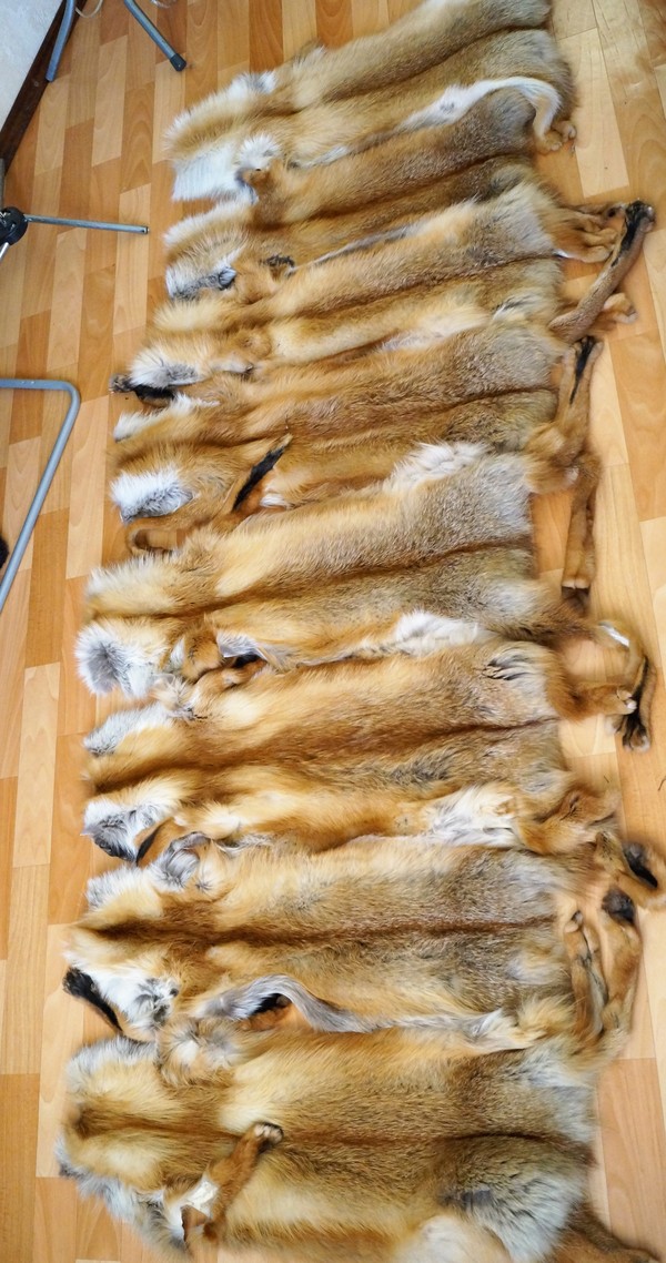 The process of making a fox fur coat - My, , Fur coat, With your own hands, Manufacturing, Handmade, Master, Longpost, Fur products
