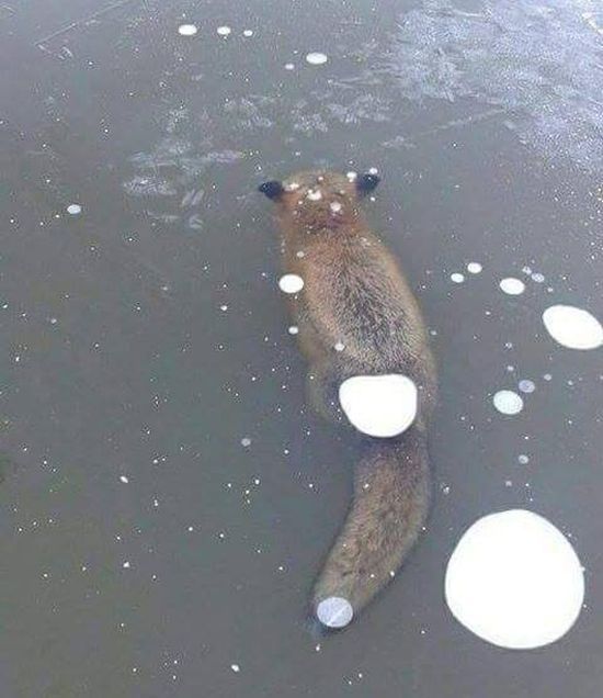   , , 