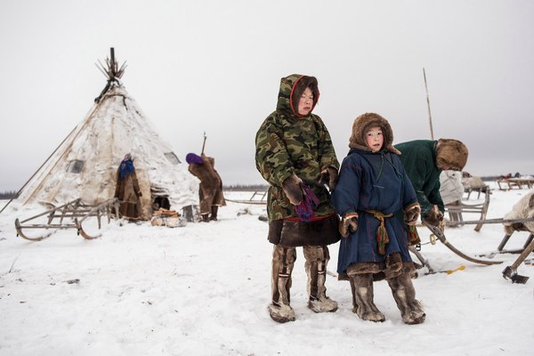 Reindeer herders camp near Nadym - Camp, Reindeer herder, Snow, Nadym, Russia, Photo, Nature, Landscape, Longpost