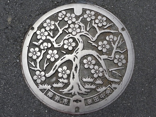 Manhole cover in Japan - beauty, Japan, manhole cover, Luke, Sewer hatch