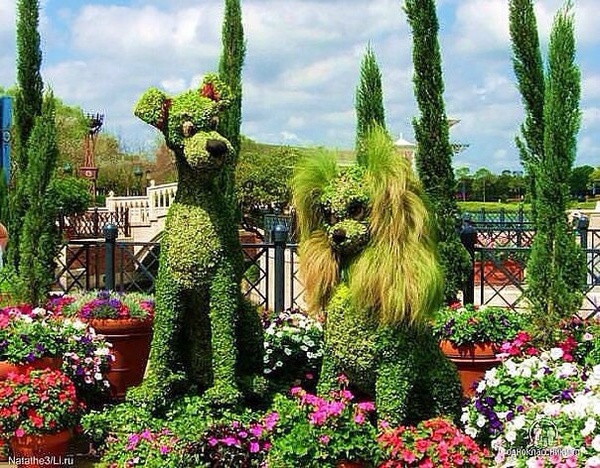 Занимательная флористика Флористика, Фото, Флора, Жизнь, Креатив, Животные, Длиннопост, Photoshop