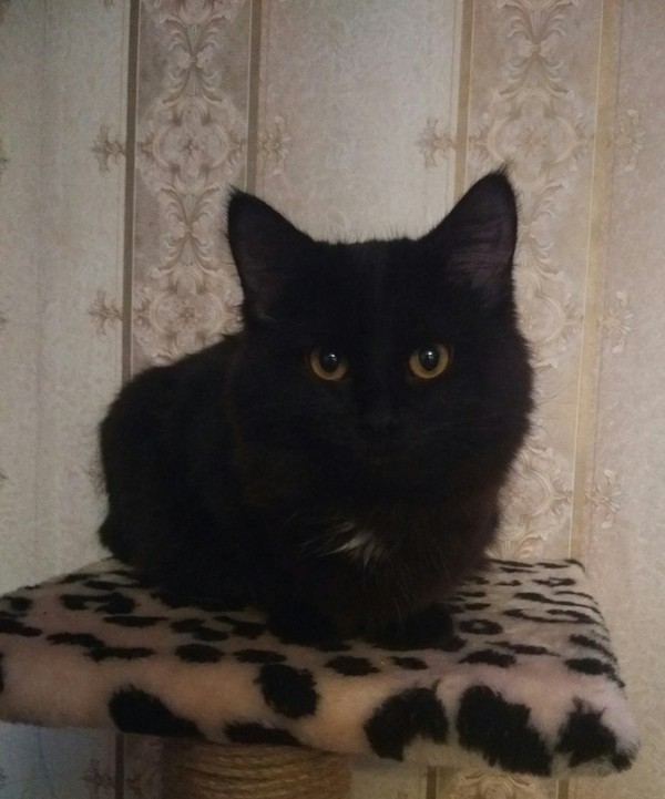 И такое бывает..