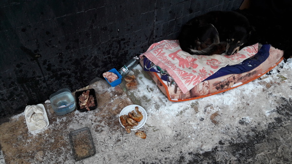 ����� � ����� ������