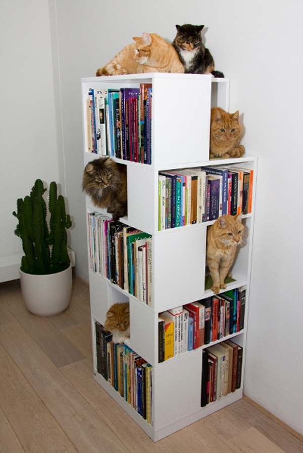 книжный стеллаж своими руками с фото