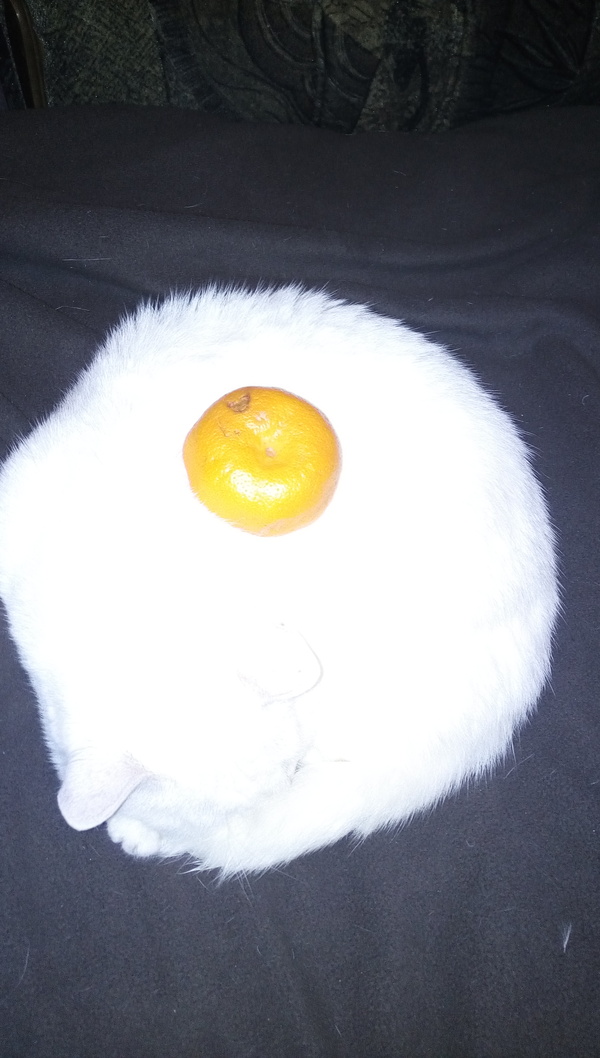 �����������)))