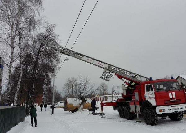 Kotovsk firefighters removed a cat from a tree using a 30-meter ladder - cat, Birch, Tree, Firefighters, The rescue, Kotovsk, Tambov, Longpost