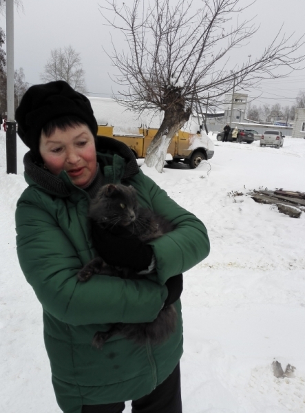 Kotovsk firefighters removed a cat from a tree using a 30-meter ladder - cat, Birch, Tree, Firefighters, The rescue, Kotovsk, Tambov, Longpost