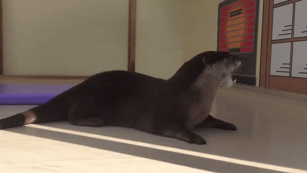 ! , , , , 