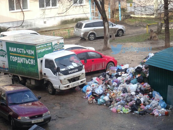 2017 is the year of ecology in Russia. - Ecology, Garbage, , Pride