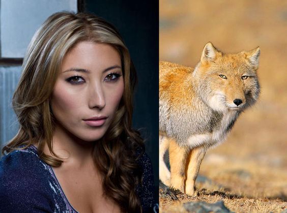 Dichen Lachman - Сходство, Dichen Lachman