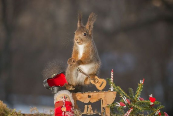 When the teacher looks at you, and you are trying to pretend that you are not dumb as a cork. - Teacher, GIF, Squirrel, Education