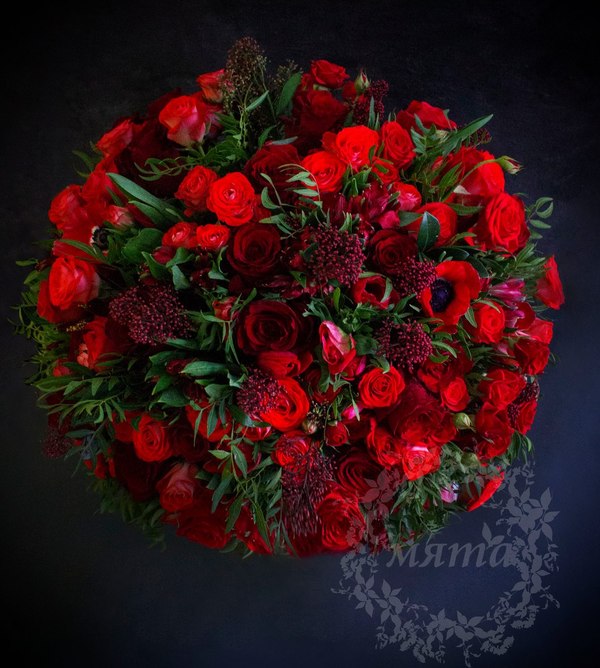 Цветочной красоты пост Цветы, Флористика, Экзотические цветы, Необычные букеты, Длиннопост