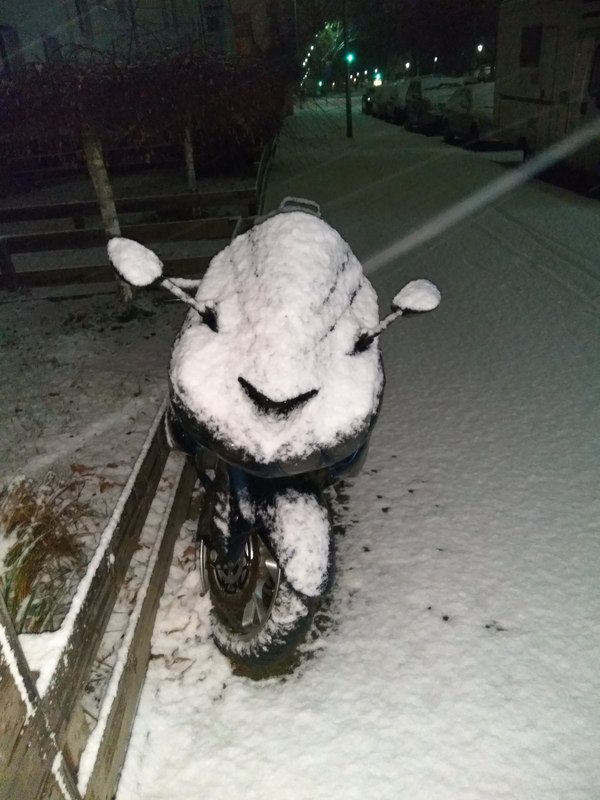 Moped enjoys the snow :) - My, Snow, Moped, Smile