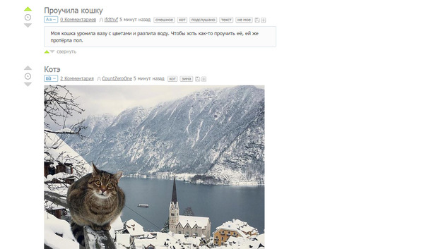 Котэ в шоке от поста выше