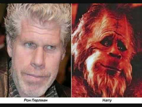Similarity - Similarity, Images, Ron Perlman, Harry, It was possible, Repeat