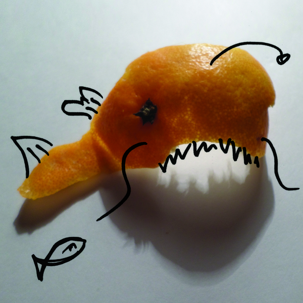 Somehow recently I got such a funny photo + a little finishing - My, Photo, A fish, Tangerines