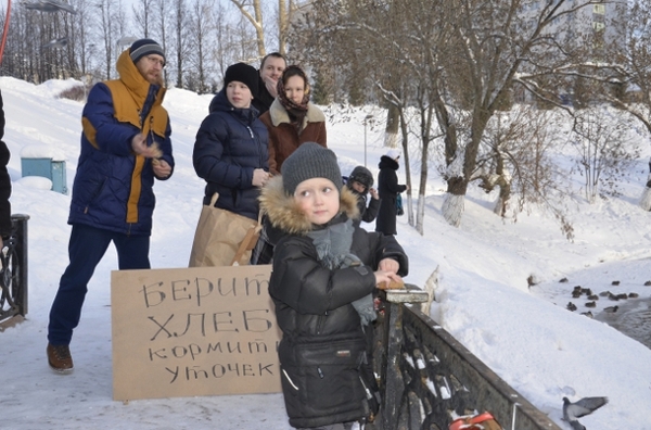 Ducks were fed bread for 550 rubles - Kirov, Vyatka, Bread, Russia, Healthy lifestyle, Duck, news