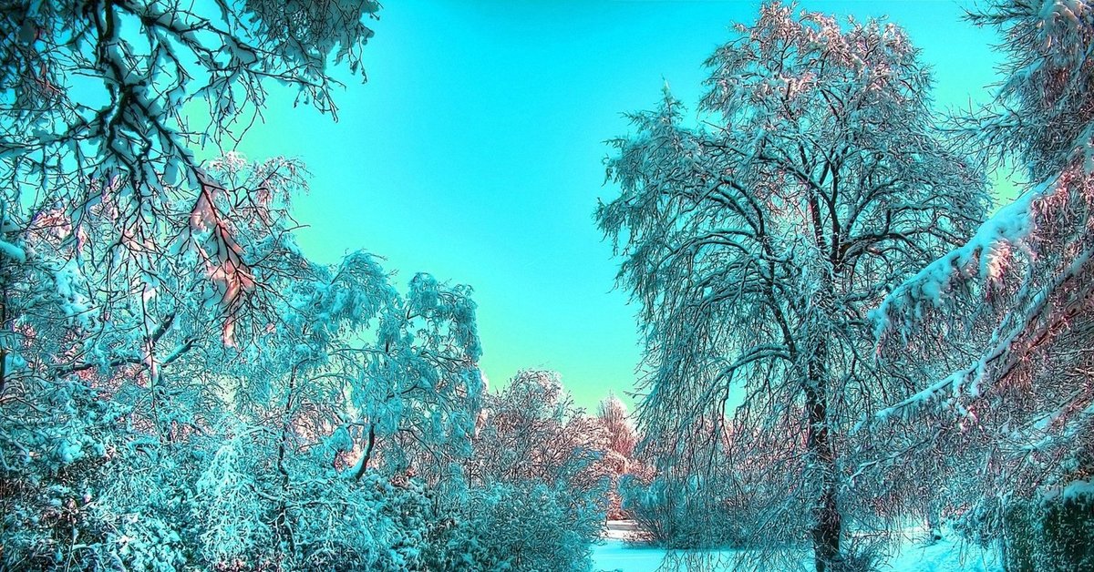 Зимние Живые Обои Зимние Живые Обои