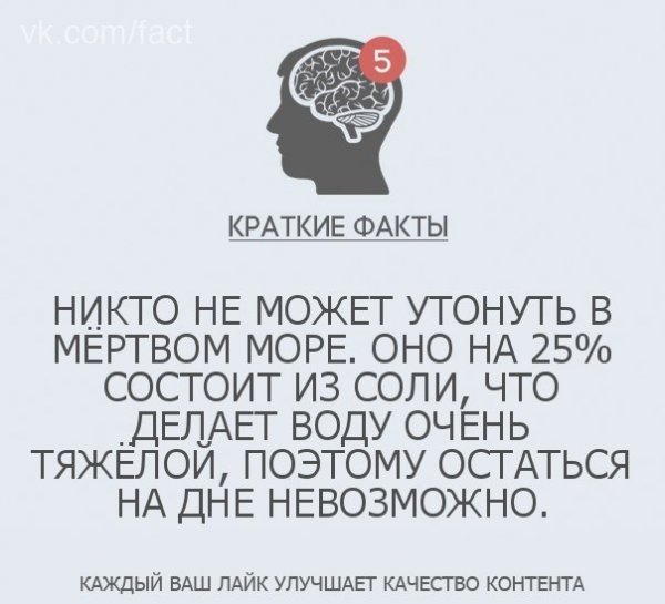 Никто факт. Краткие факты в картинках. Краткие интересные факты. Интересные факты кратко. Расширяем кругозор интересные факты.