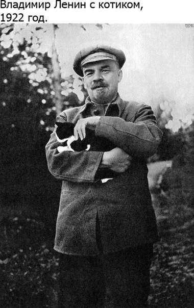 I heard they love cats here... - cat, Lenin