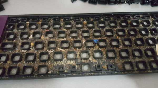 I was wondering why my keyboard was acting weird... - Honestly stolen, Keyboard, 