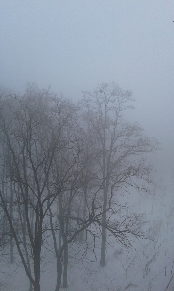 ������ �����... ������������