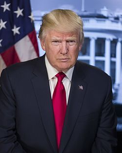 The 45th President of the United States took office - Potus, US presidents, Trump, Donald Trump, Inauguration, Make America great again, Interfax, Longpost