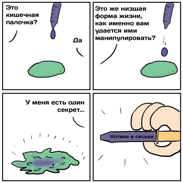  ,  , 