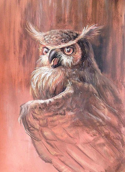 OWL - My, Art, Art, In the animal world, Owl, Drawing, Pastel