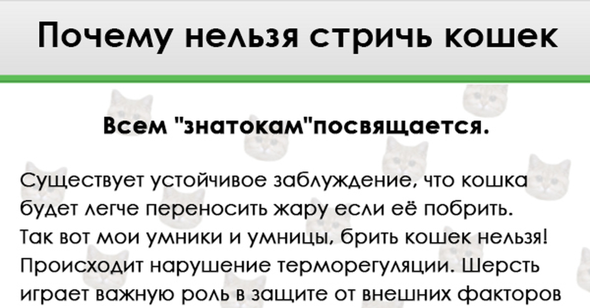 Почему беременным нельзя стричь волосы. Почему нельзя стричь кошек. Почему нельзя стричь животных. Почему нельзя стричь котов. Почему нельзя подстригать кота.