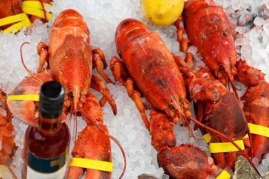 In Italy, a restaurant owner was fined for mistreating a lobster. - Italy, Lobster, Animal rights, Marasmus, Fine, 