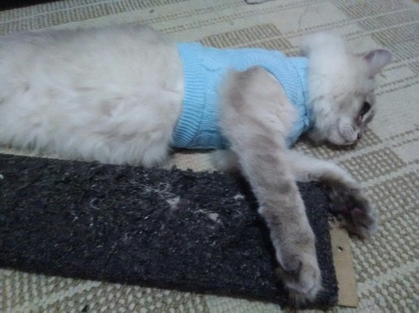 Когда заказываешь с AliExpress... И сил терпеть это безобразие больше нет...